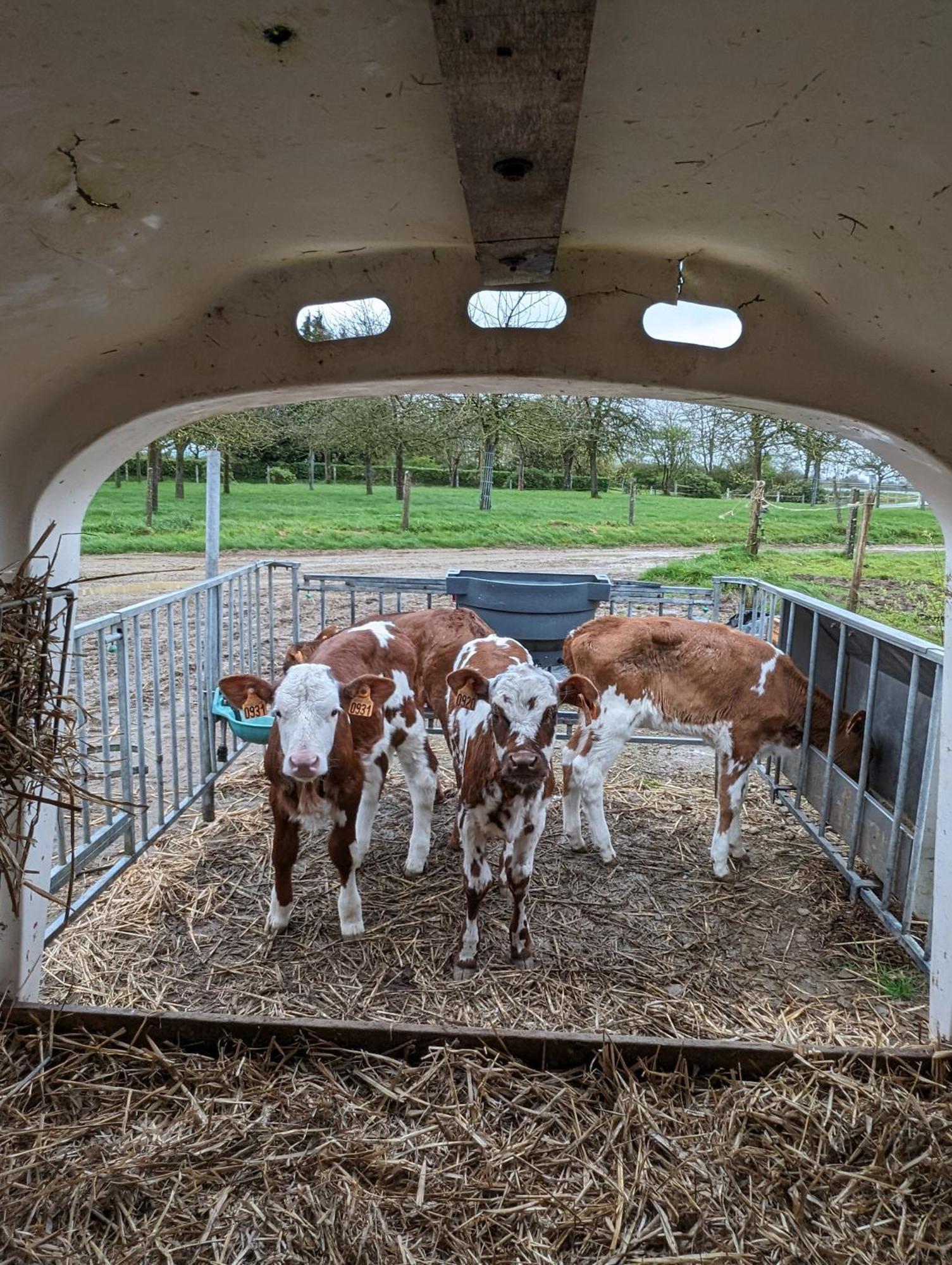 르테일룰 Ferme De La Gortiere B&B 외부 사진