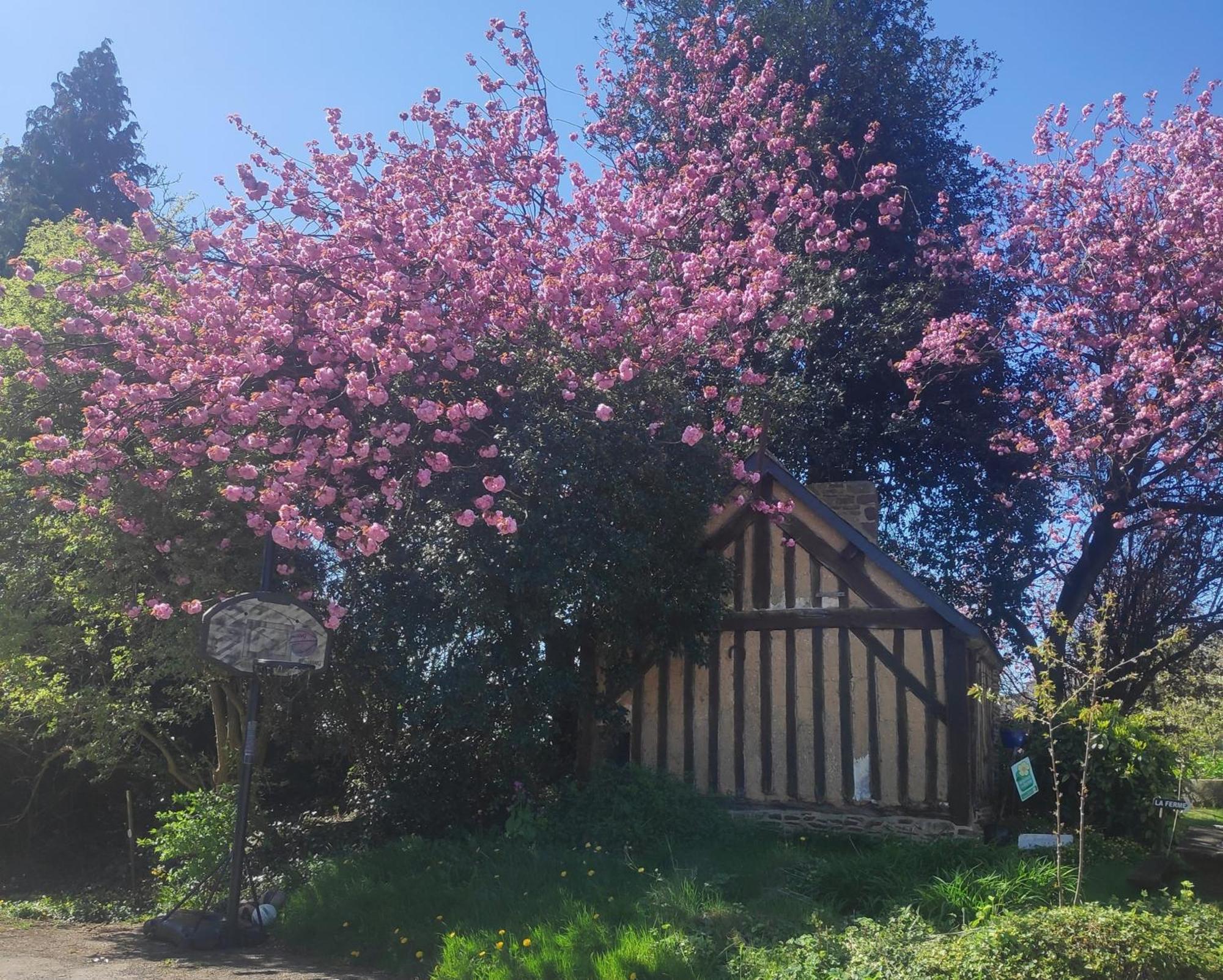 르테일룰 Ferme De La Gortiere B&B 외부 사진