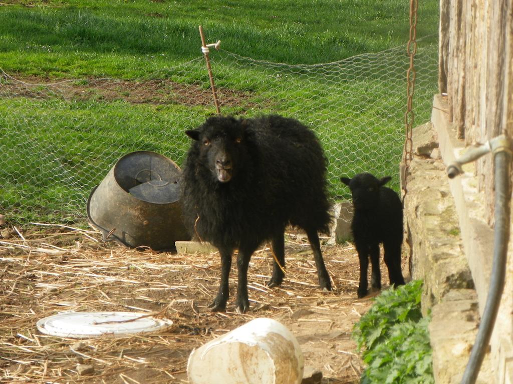 르테일룰 Ferme De La Gortiere B&B 외부 사진